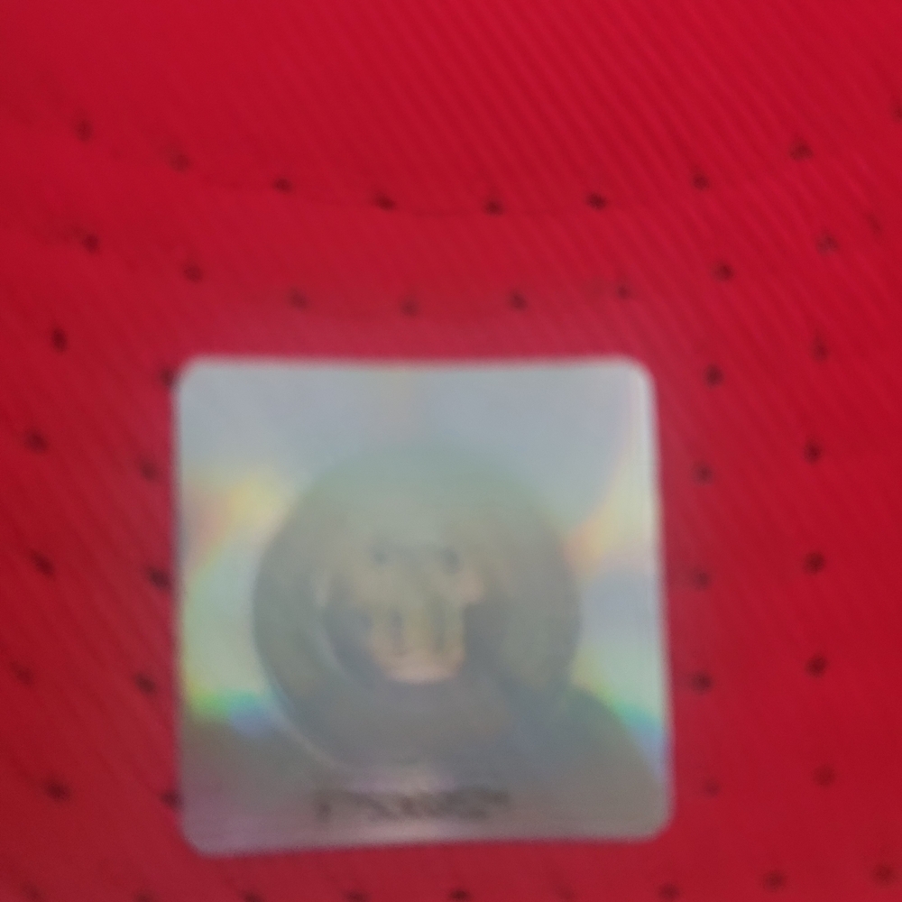 Red Baseball Cap with Gold Terrapins Logo - Picture 3 of 8